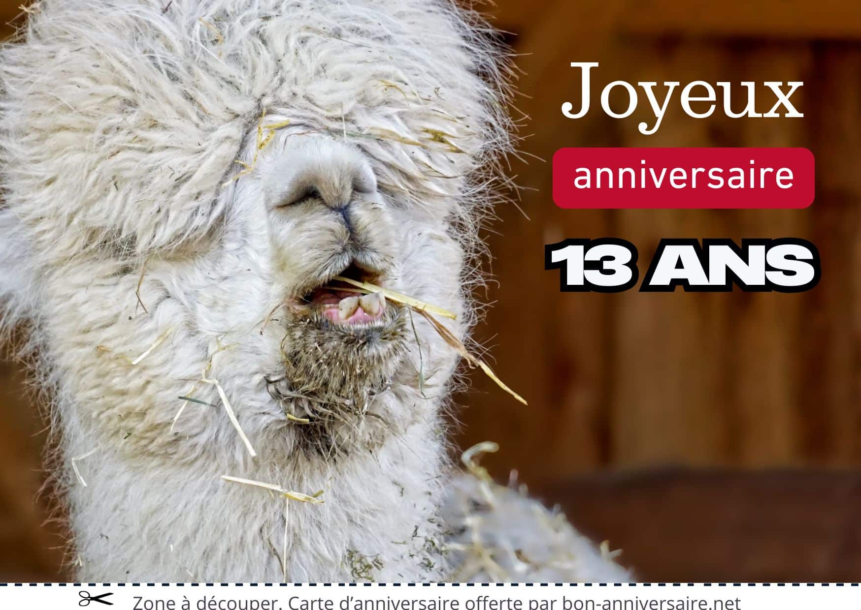 Carte Joyeux Anniversaire 13 Ans Gratuite Imprimer